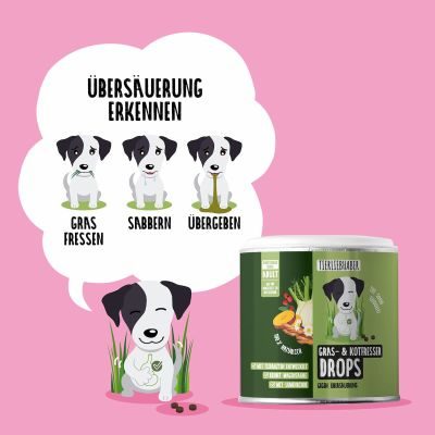 Thumbnail 4: Tierliebhaber Gras und Kotfresser Drops für Hunde - Natürliche Hilfe bei Sodbrennen sowie Gras- und Kotfressen