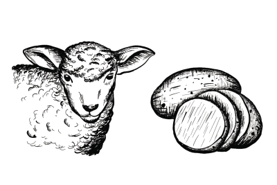 Thumbnail 4: Schnauze & Co. 6x Dosenfutter® LAMM & KARTOFFEL 400g