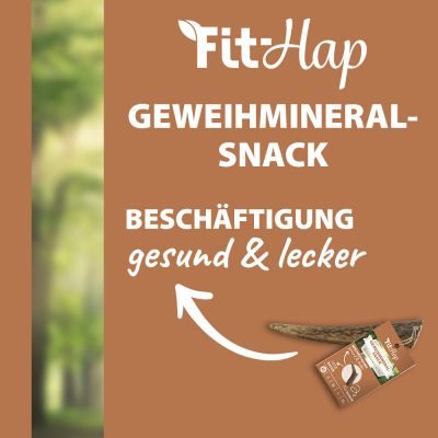 Thumbnail 4: Fit-Hap Geweihmineral-Snack XL (160-250 g) – Natürlicher Kausnack aus Geweih für Hunde