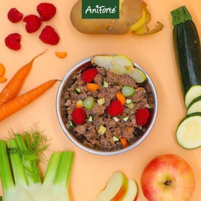 Thumbnail 6: AniForte Nassfutter JuniorMenue – "Zartes Huhn mit Möhrchen"
