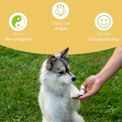 Thumbnail 3: Wolfsbacher Natur Bachblüten Globuli – Angst