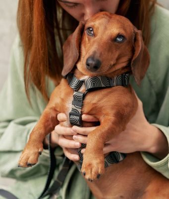 Thumbnail 6: CAFIDE Recyceltes PET-Geschirr, Juno