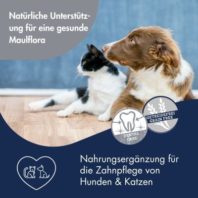 Thumbnail 3: Dr.Clauder´s Plaque Ex Paste 100g