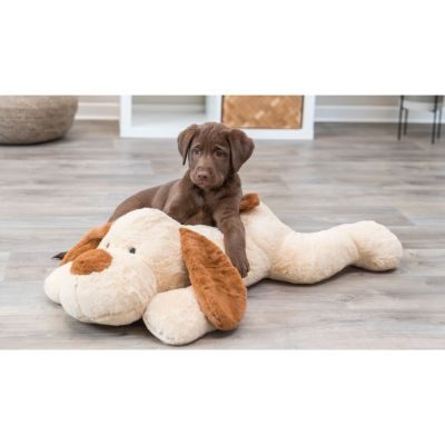 Thumbnail 2: TRIXIE Ankuschelhund Benny, Plüsch
