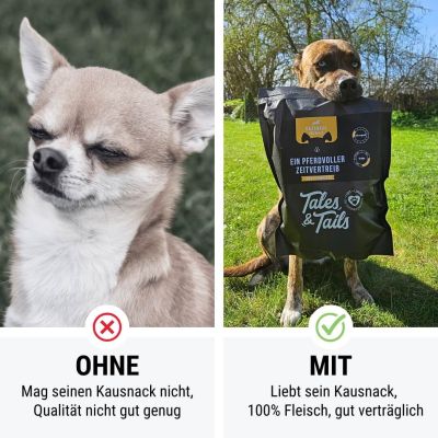 Thumbnail 4: Tales & Tails Ein PferdVoller Zeitvertreib 5er Paket