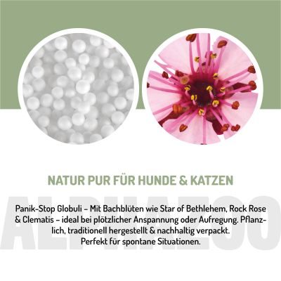 Thumbnail 2: ALPHAZOO Panik Stop Bachblüten