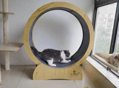 Thumbnail 6: PETLIVING Katzenlaufrad 