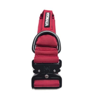Thumbnail 4: Vitomalia Extreme EditionTaktisches Hundehalsband mit belastbarer Schnalle & Magnet Handgriff - Bordeaux