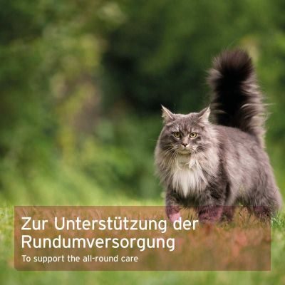 Thumbnail 5: AniForte 4in1 Complete Cat