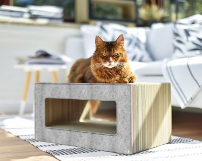 cat-on LOOP Designmöbel für Katzen, grau (001)