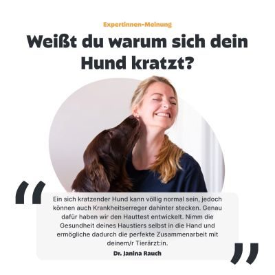 Thumbnail 8: Pezz Hunde Hauttest | Zuhause auf Hautmilben, Hefepilze und Bakterien testen