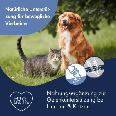 Thumbnail 3: Dr.Clauder´s Gelenk Paste 100g