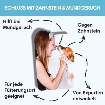 Thumbnail 7: Sollis Gebissglanz Dentalpulver zur Zahnpflege für Hunde 100 g