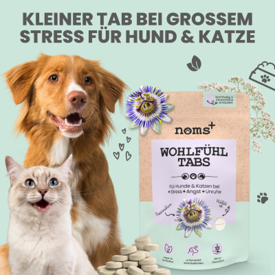 Thumbnail 7: Noms+ Wohlfühltabs für Hunde bei Stress, Angst, Unruhe und Hyperaktivität