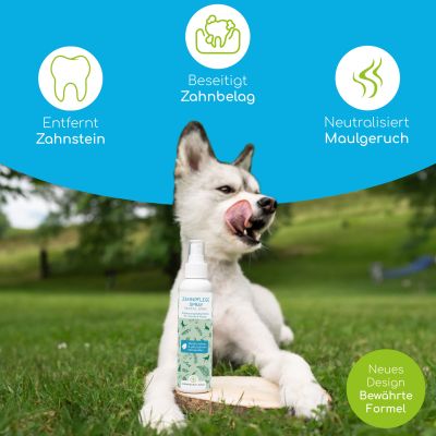 Thumbnail 4: Wolfsbacher Natur Dentalspray - Zahnpflege Spray mit Bio Minze