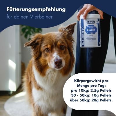 Thumbnail 6: Dr.Clauder´s Gelenk Pellets 675g
