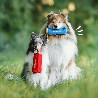 Thumbnail 3: Rudelkönig Rudelkönig Futterbeutel für Hunde, Apportierbeutel für Hundetraining, Futterdummy