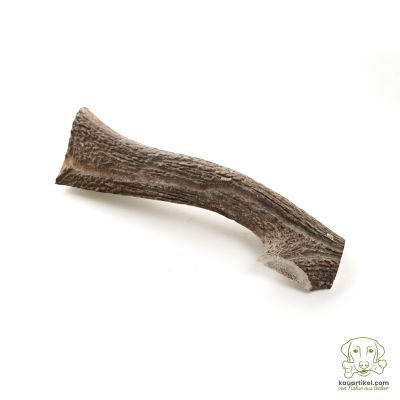 Thumbnail 2: kauartikel.com Hirsch-Geweih halbiert - Hunde-Kauartikel - Hunde-Snack - Hypoallergen-Kausnack - Wild-Leckerli