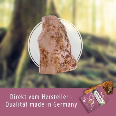 Thumbnail 2: Fit-Hap Kauwurzel M (5 St.) – Natürliches Kauspielzeug aus Hartholz für Hunde