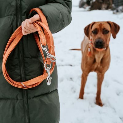 Thumbnail 3: HUNTER Verstellbare Führleine Cannes 20/200, orange