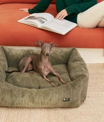 Thumbnail 7: CAFIDE Cord Hundebett, Snozy
