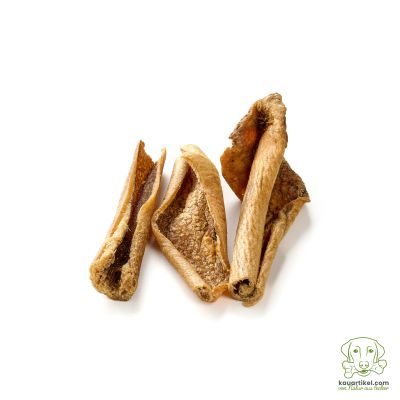 kauartikel.com Wildschwein-Haut