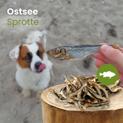 Thumbnail 3: kauartikel.com Ostsee-Sprotte - Hunde-Kauartikel - Hunde-Snack - Kausnack - Fisch-Leckerli