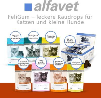 Thumbnail 6: alfavet FeliGum Hairball 40 g