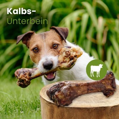Thumbnail 2: kauartikel.com Kalbs-Unterbein - Hunde-Kauartikel - Hunde-Snack - Kausnack - Kälber-Leckerli (Rind)