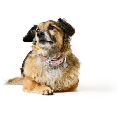 Thumbnail 5: HUNTER Halsband Malibu S-M (50), zartrosa