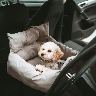 HUNTER 2-in-1 Autositz und Reisebett Seoul 50 x 50 x 30, greige