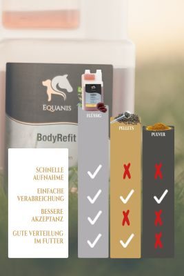 Thumbnail 4: Equanis BodyRefit – Elektrolyte Pferd