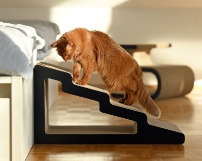 Thumbnail 5: cat-on KAIDAN Design Katzentreppe, schwarz matt (013x)