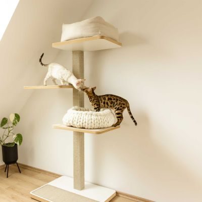 Thumbnail 2: stylecats® Kratzbaum Clu 3 Liegeflächen beige mit Kratzfläche Cozy beige, 145 cm