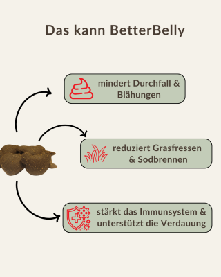Thumbnail 2: bettertreats Verdauungs-Snacks für Hunde mit Prä- & Postbiotika. Natürliche Unterstützung gegen Sodbrennen, Blähungen, Gras- & Kotfressen - täglich füttern