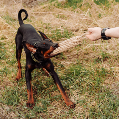 Thumbnail 6: Vitomalia Geflochtener Zerr-Ring für Hunde: 100% Naturhanf, handgeknotet - Eco Tug L