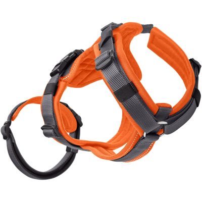 Thumbnail 6: HUNTER Sicherheitsgeschirr Maldon XS, orange/grau