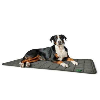 Thumbnail 4: HUNTER Hundedecke Hamilton XL (120 x 70 cm), grau