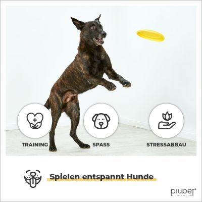 Thumbnail 2: PIUPET Frisbee Hund I Gelb & Grau I 22cm Durchmesser I Farben gut erkennbar für Hunde I 2er-Set Frisbees I Hundefrisbee-Set