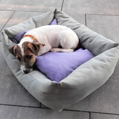 Thumbnail 2: INT4BELUA Bett DOMINO Gr. S