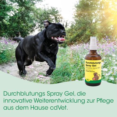 Thumbnail 3: cdVet Durchblutungs Spray Gel 100 ml – Natürliche Pflege zur Hautanregung bei Tieren