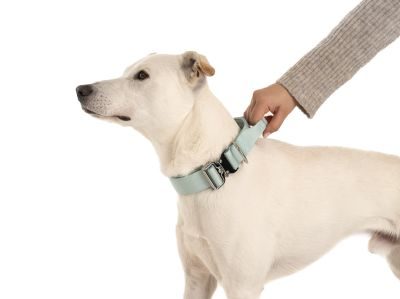 Thumbnail 4: SimplePets Halsband strong