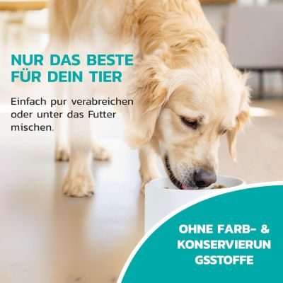 Thumbnail 2: LiquidoCare Tonikum zur Unterstützung des Immunsystems mit Sonnenhut & Taigawurzel für Hunde und Katzen 180 ml