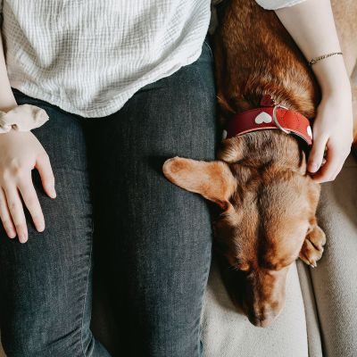 Thumbnail 11: HUNTER Halsband Love S-M (50), rot/schwarz