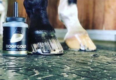 Thumbnail 3: Hoofgold Huföl für Pferde mit Pinsel - zur täglichen Hufpflege bei sprödem und brüchigem Horn - 500 ml