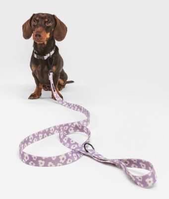 CAFIDE Leine 1,2 m, recyceltes PET, Juno
