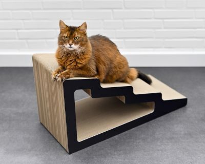 Thumbnail 2: cat-on KAIDAN Design Katzentreppe, schwarz matt (013x)