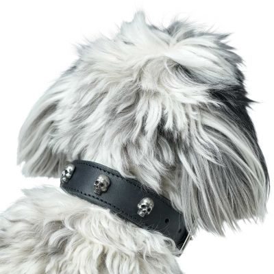 Thumbnail 5: HUNTER Halsband Tijuana XS-S (35), schwarz