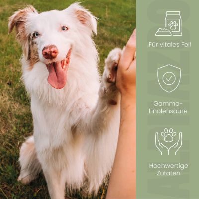 Thumbnail 5: ALPHAZOO Fellliebe Futteröl für Hunde