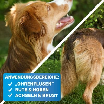 Thumbnail 2: BluePet Entfilzer für Hunde und Katzen Rosa Rechtshänder